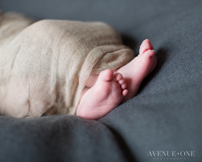 close up newborn feet photo