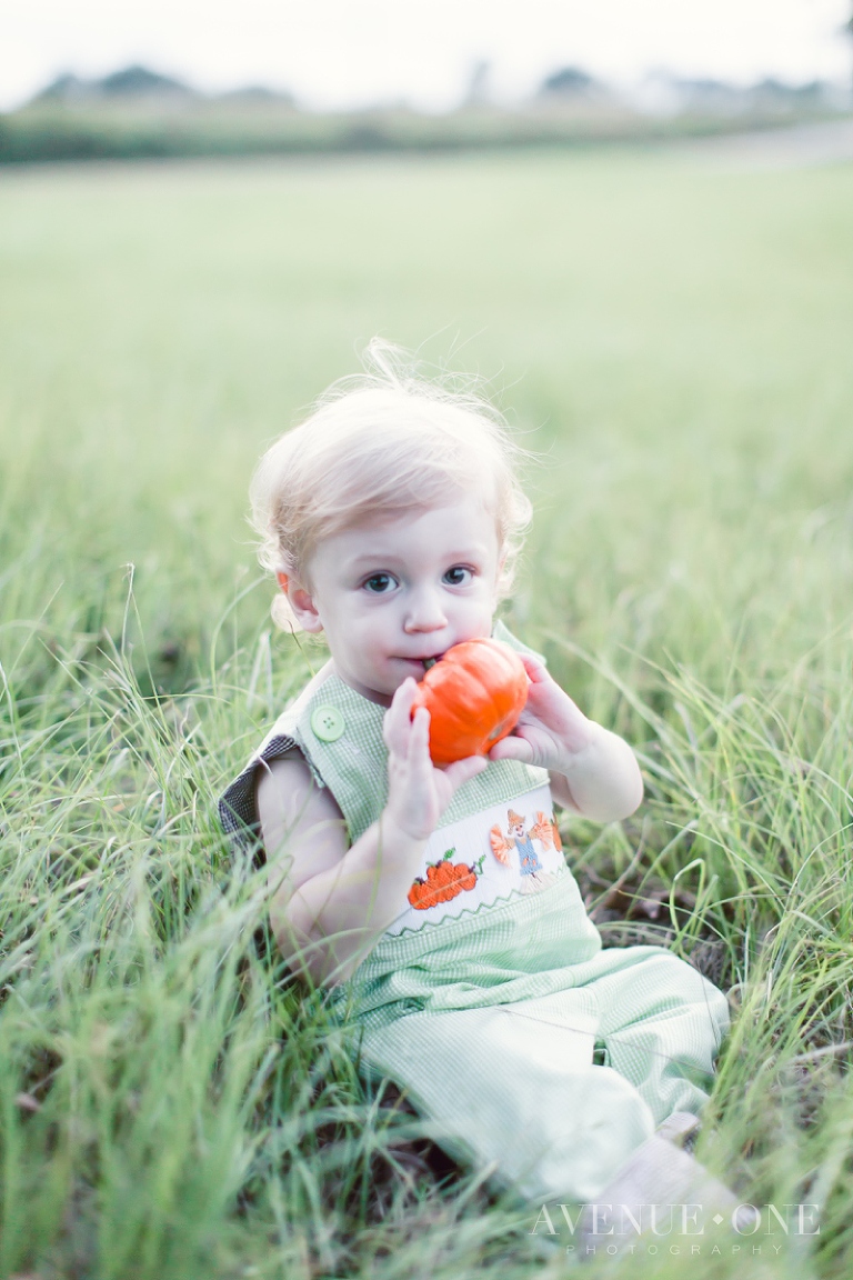 little boy with pumpkin in field