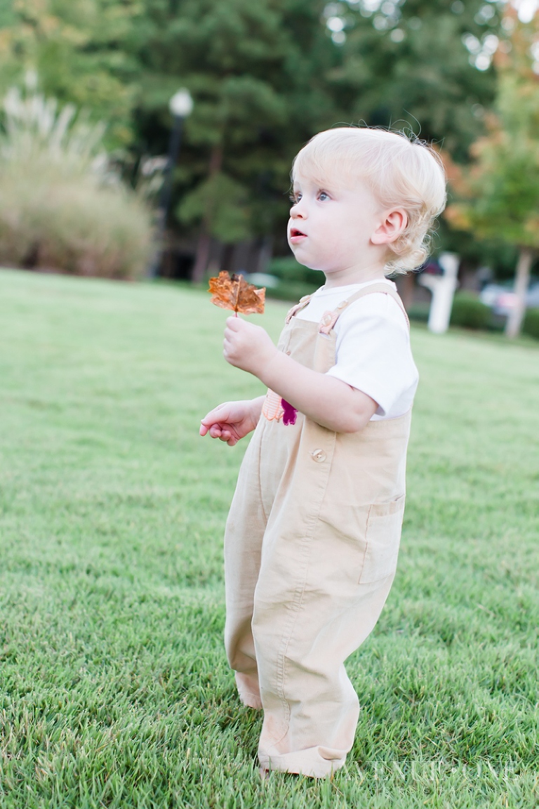 little boy holding fall leaf