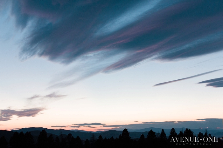Blue Sunset over field