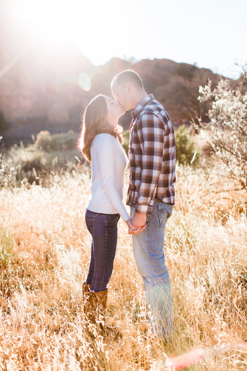 garden-of-the-gods-engagement-photo