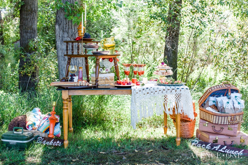 chatfield-botanic-gardens-denver-co-wedding