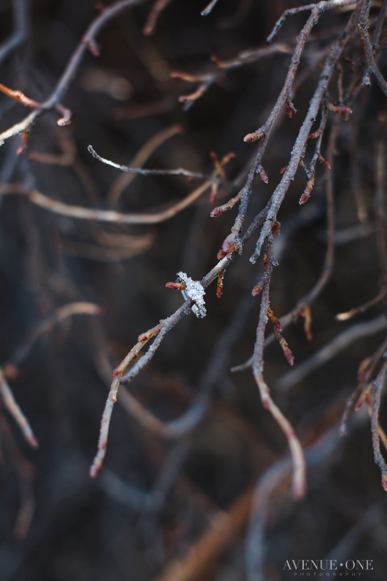 fountain-creek-nature-center-colorado-engagment-session-pictures